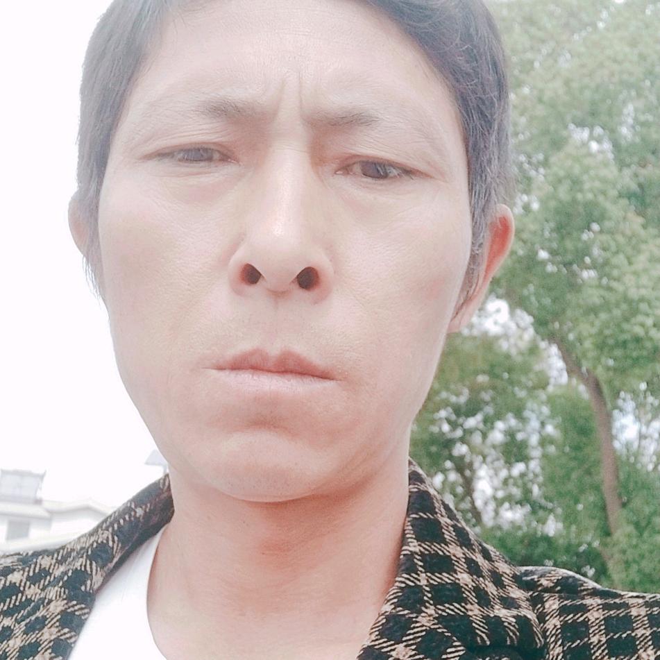 老叶