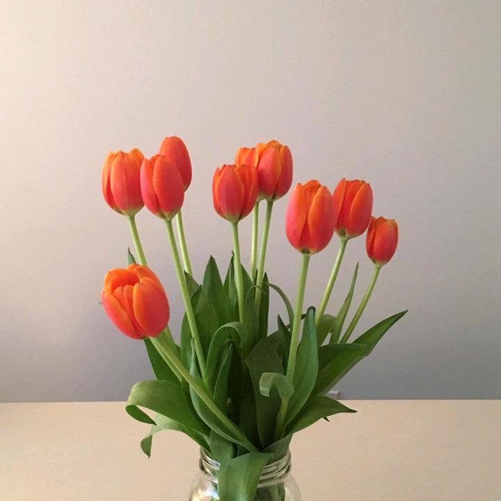 🍒好运,加满࿐ᩚ