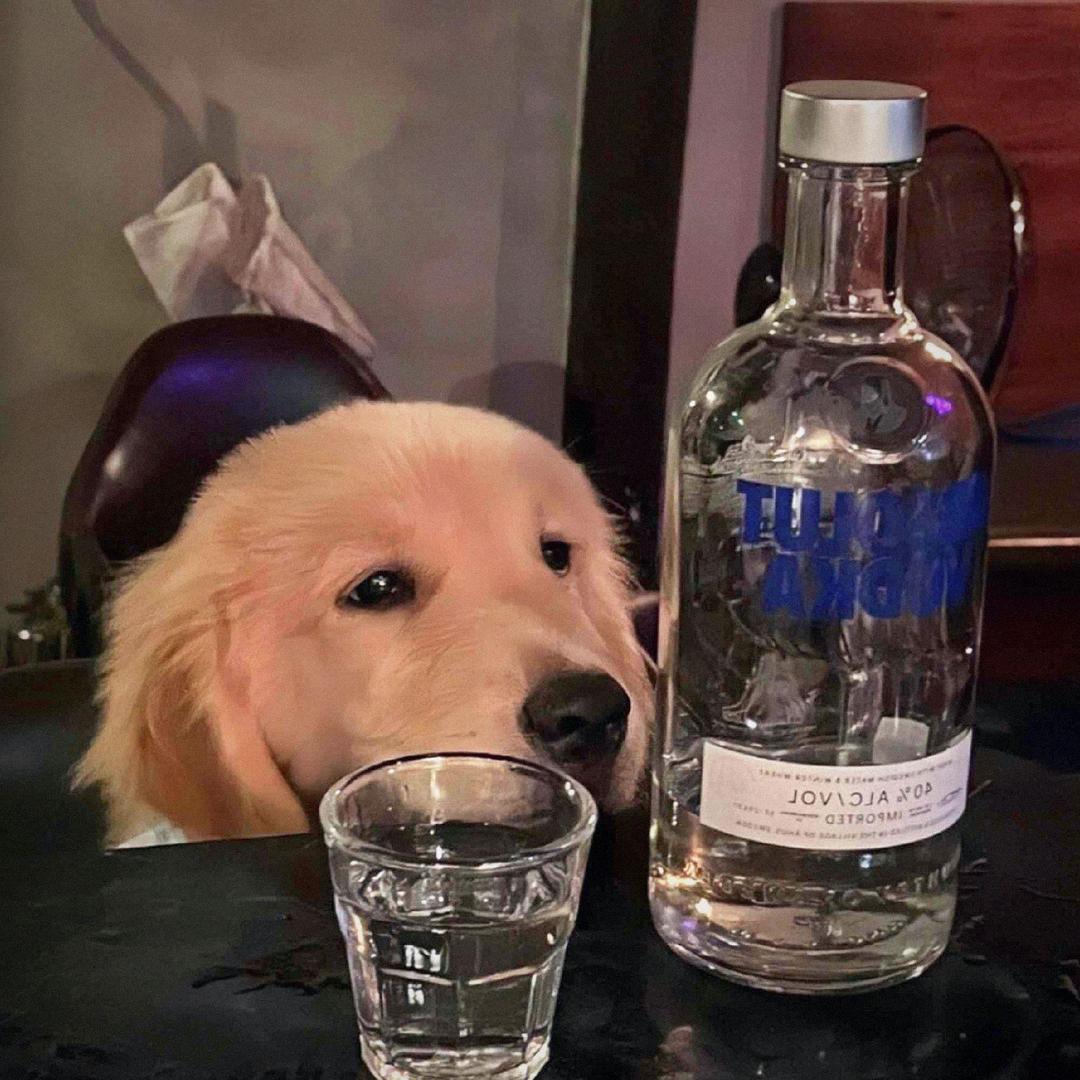 啊涛   🌈⁸³⁰