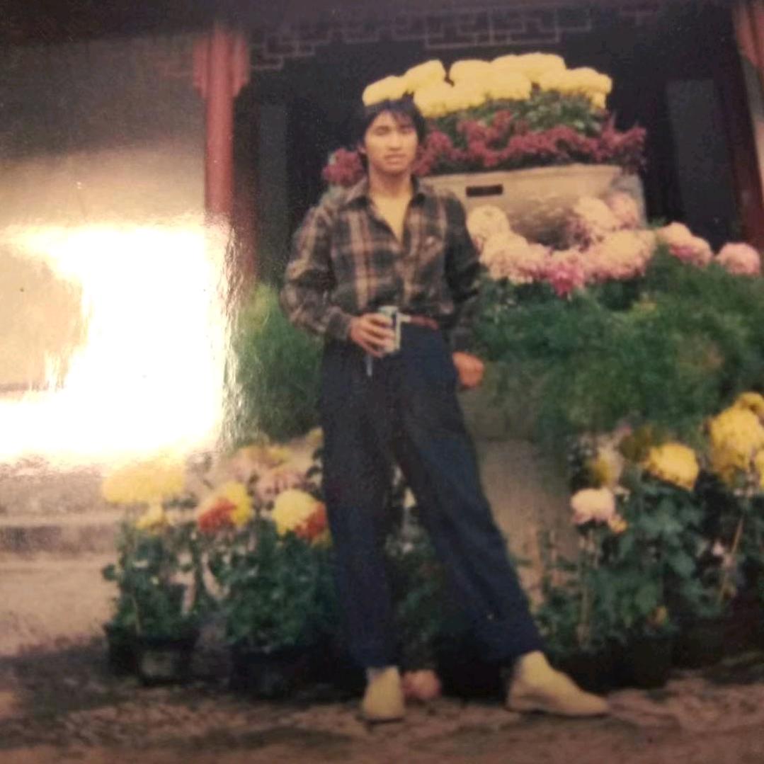 东芳鸿梅，