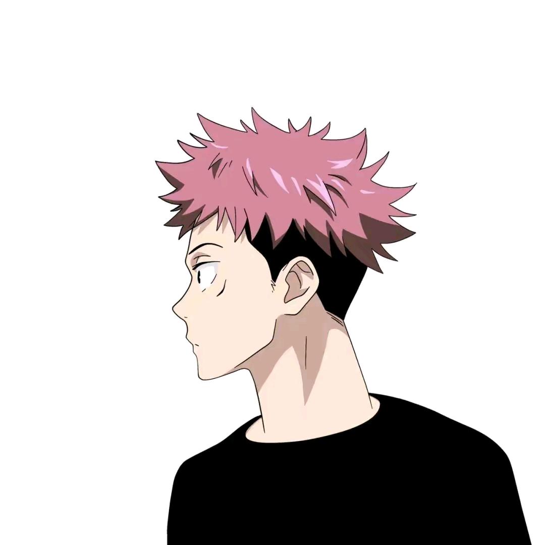青木风
