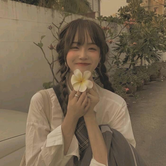 小清新🌵