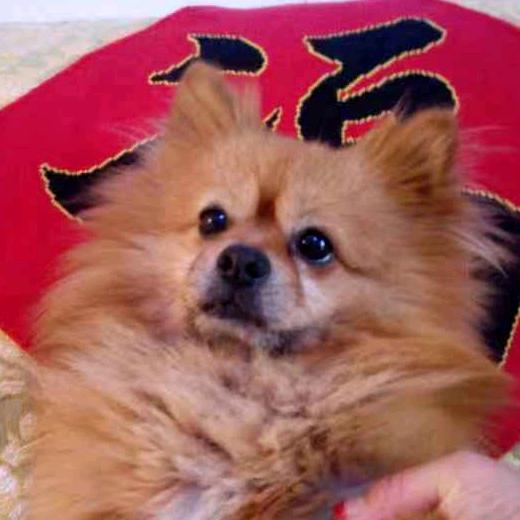 钱林