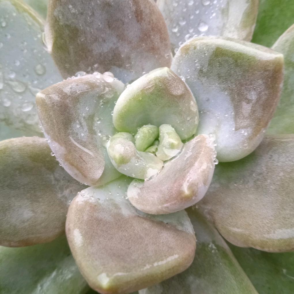 忘记你我做不到