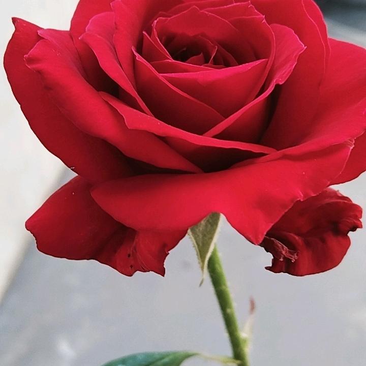 让心❤️归零，知足常乐💖