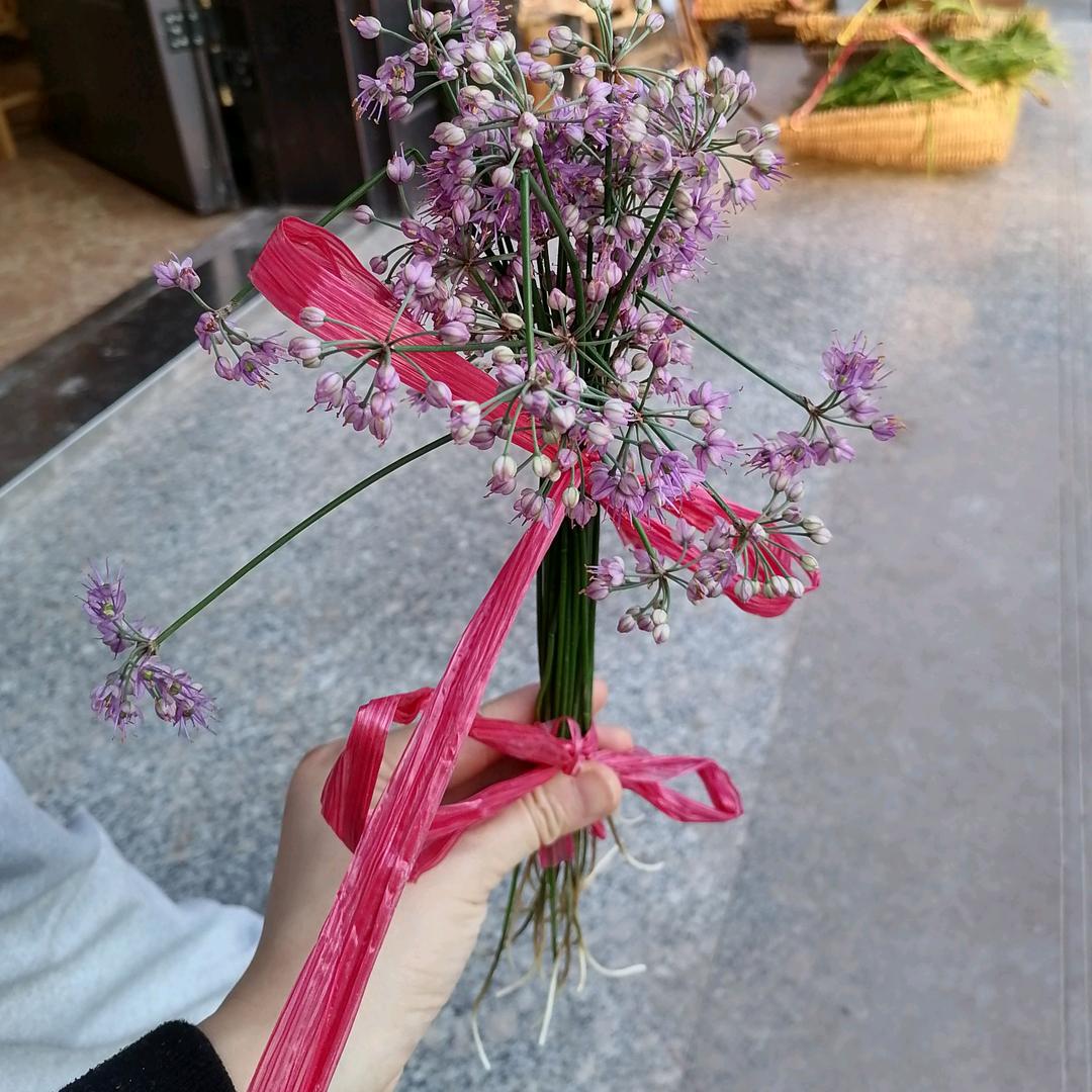 天上星星站背篼啊！