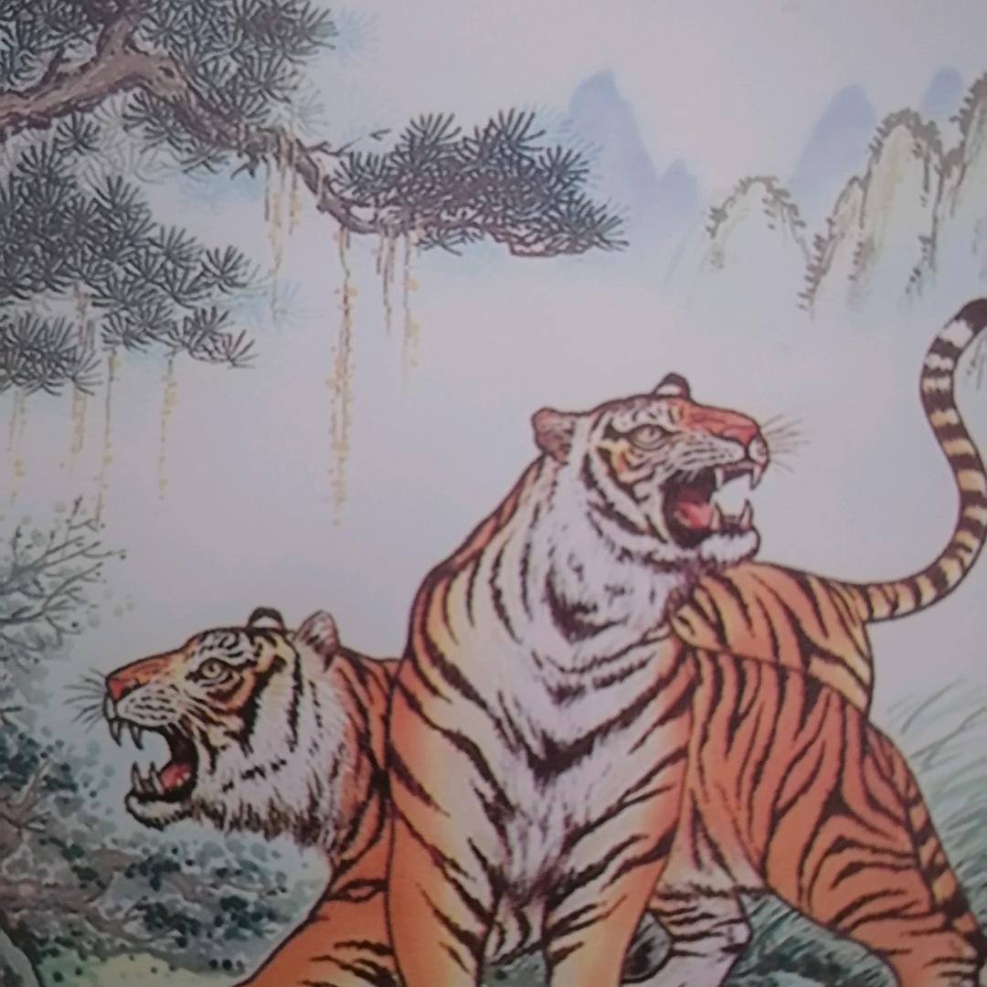 《姓石》石来运转