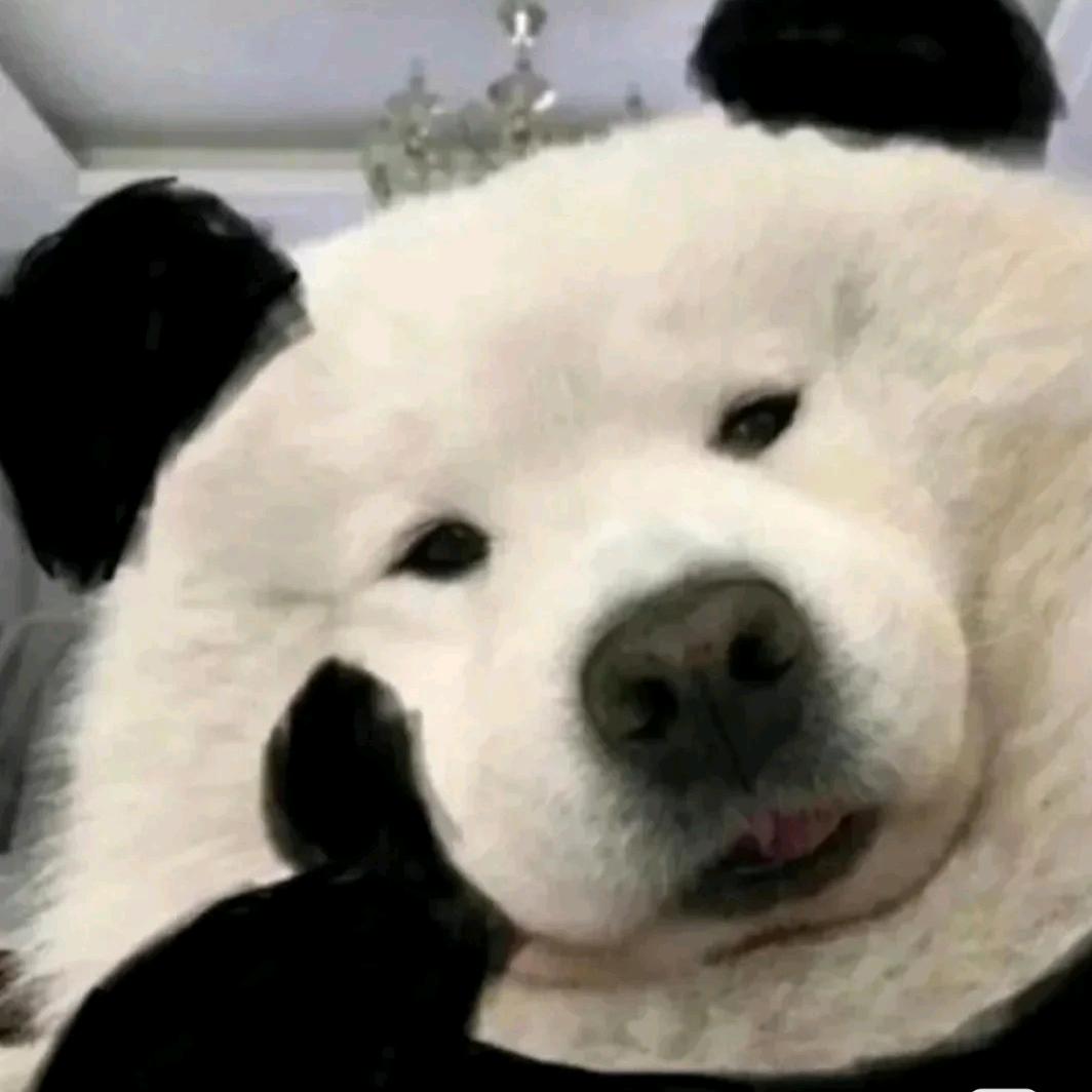 以爱国主义为荣
