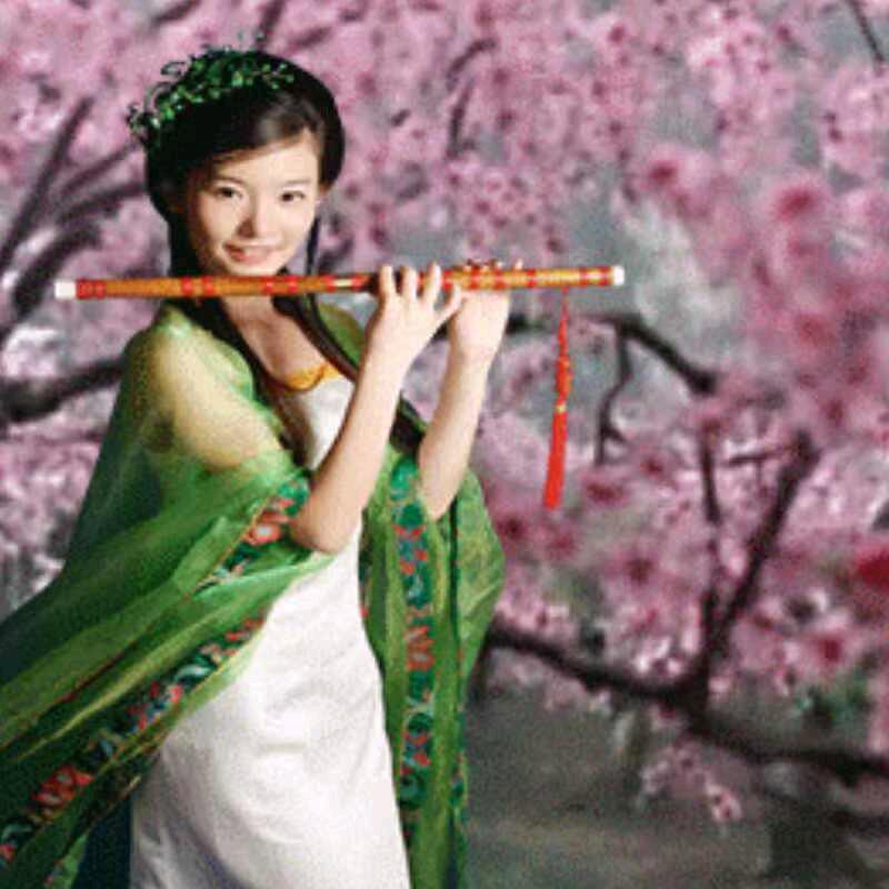 随遇而安