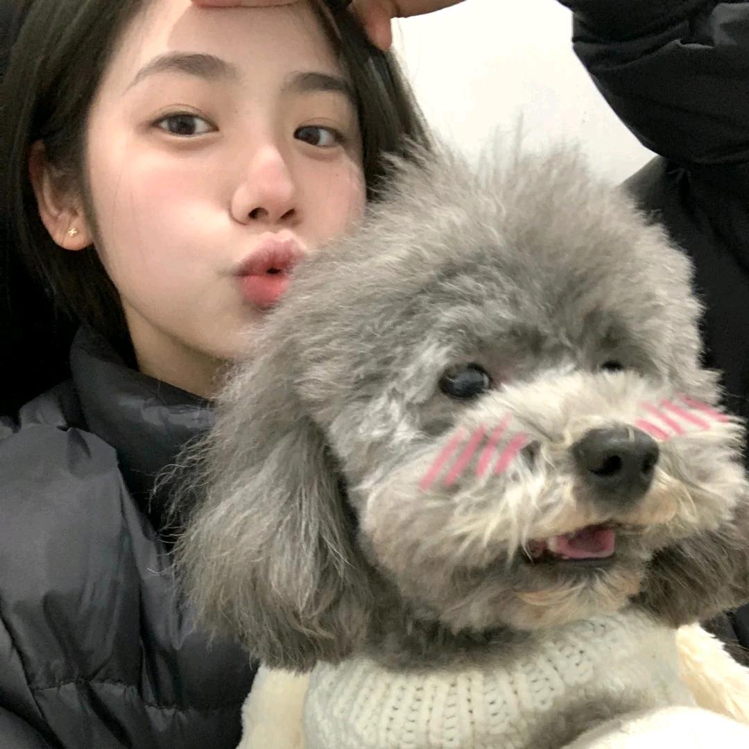 美丽