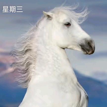 水电专业预埋按装