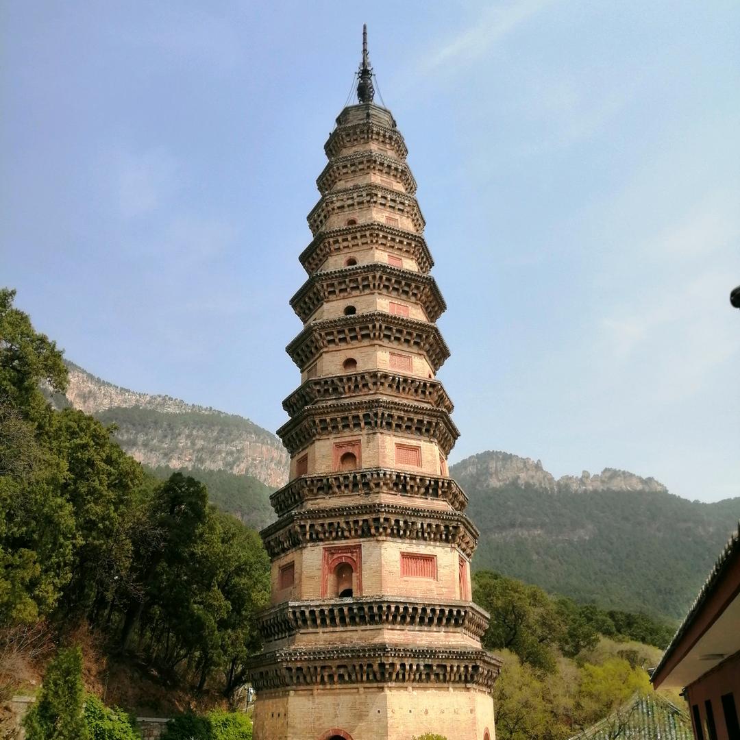 专业打假