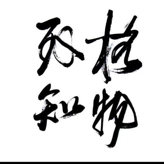 Maruko-Чан（小丸子）