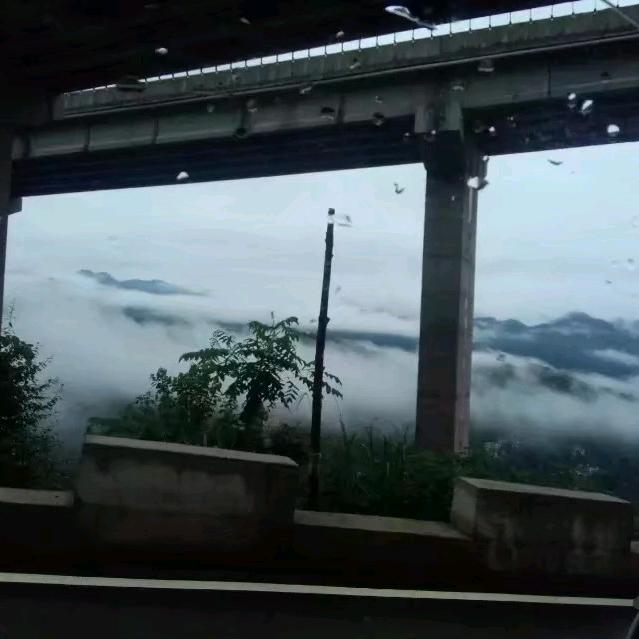 走向未来