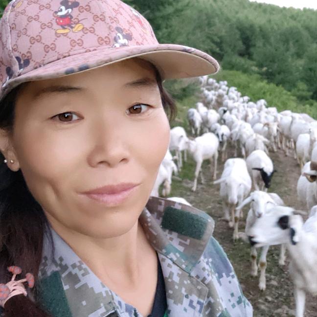 赤峰羊妹