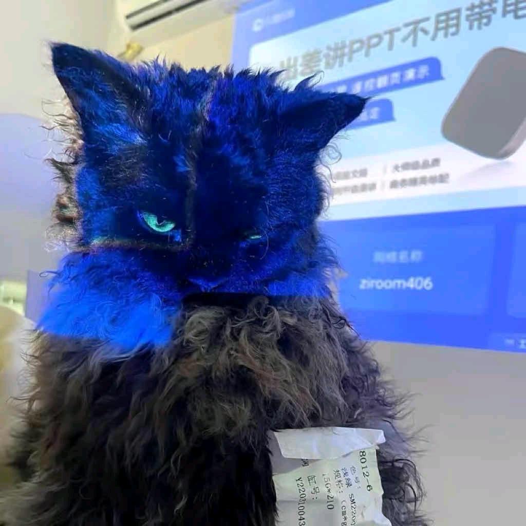 Bing头像