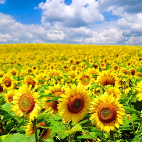 微笑面对每一天