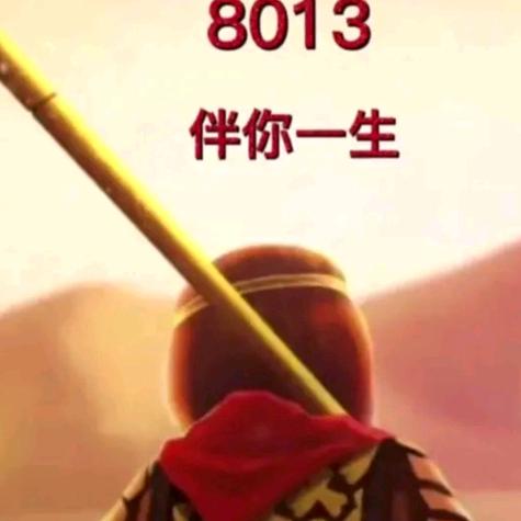 8013伴你一生