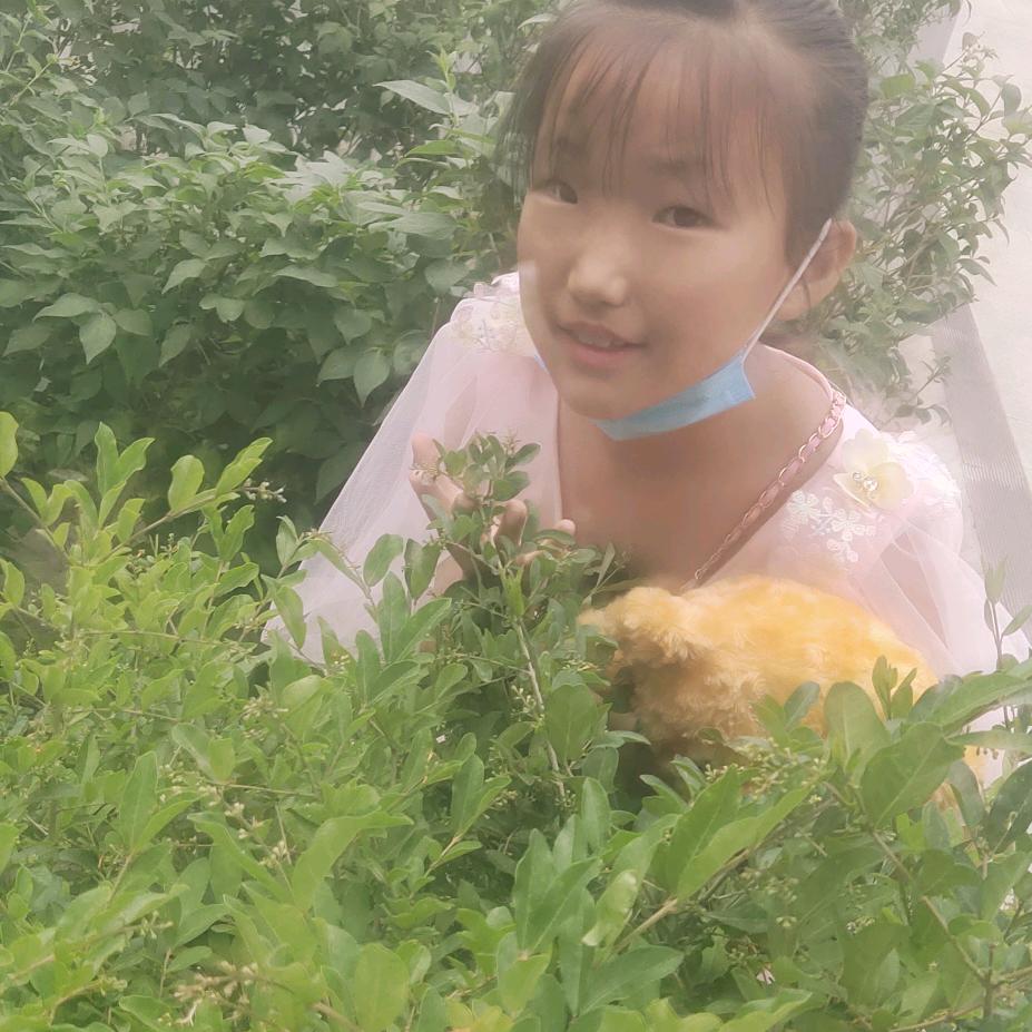 克旗霍记羊蝎子（丽雯）