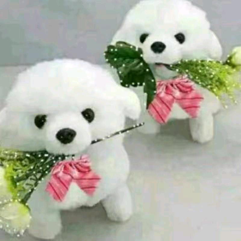 梦中花