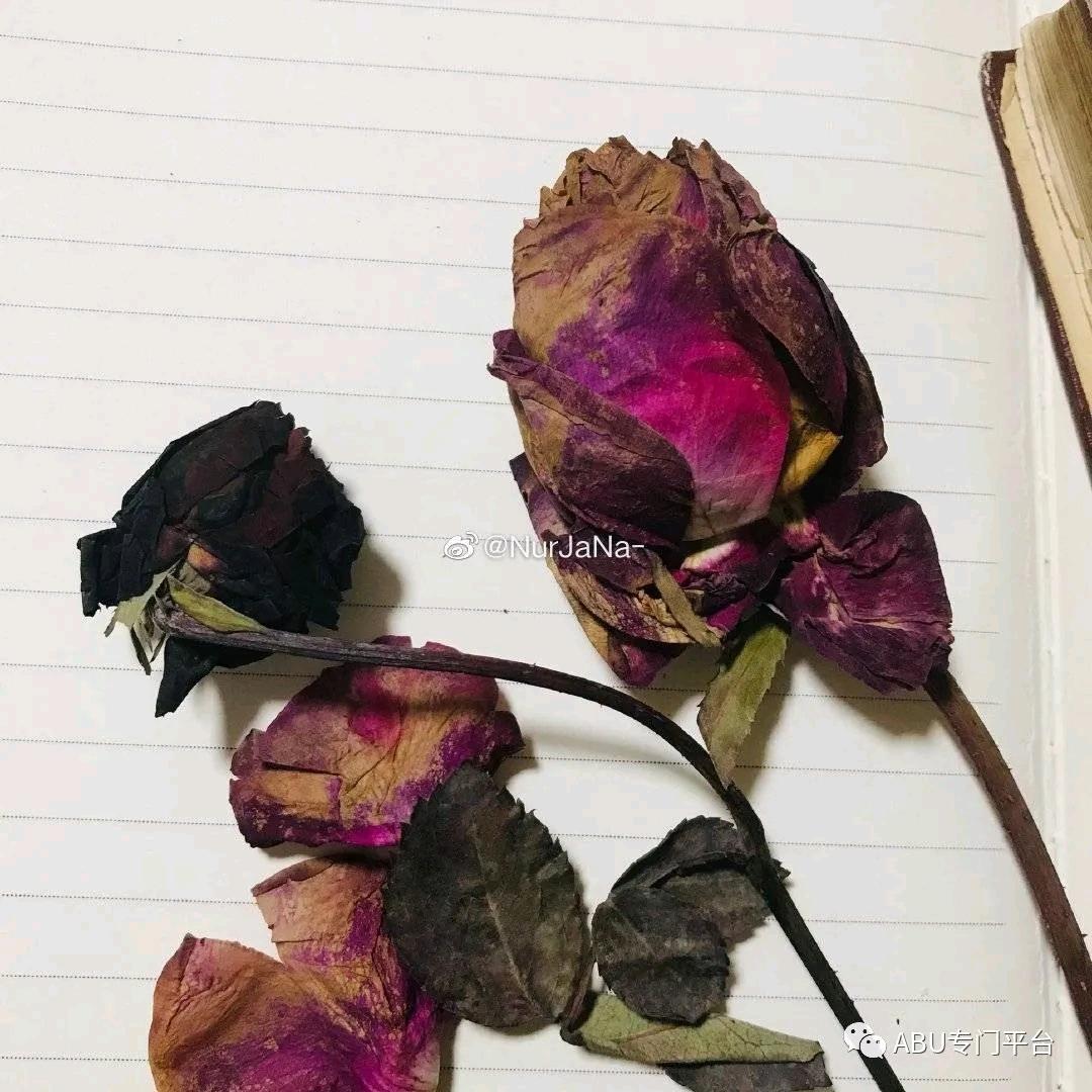 تەغدىرـ