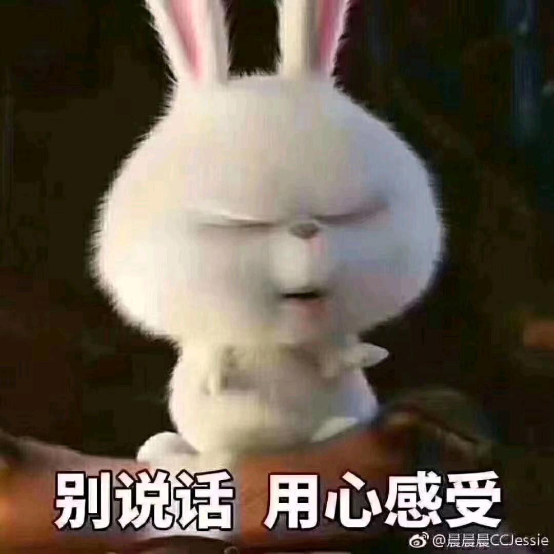 我的唯一