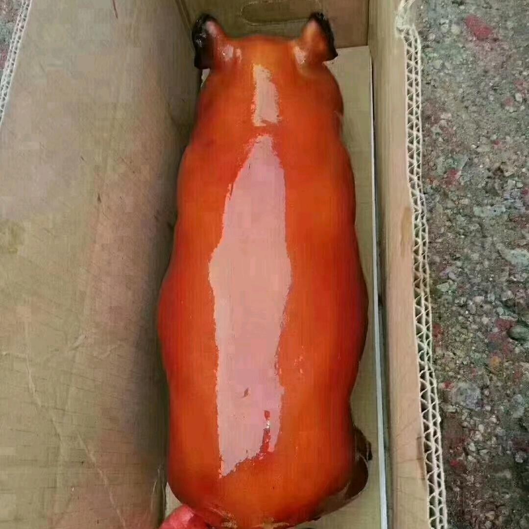 湛江烧猪仔