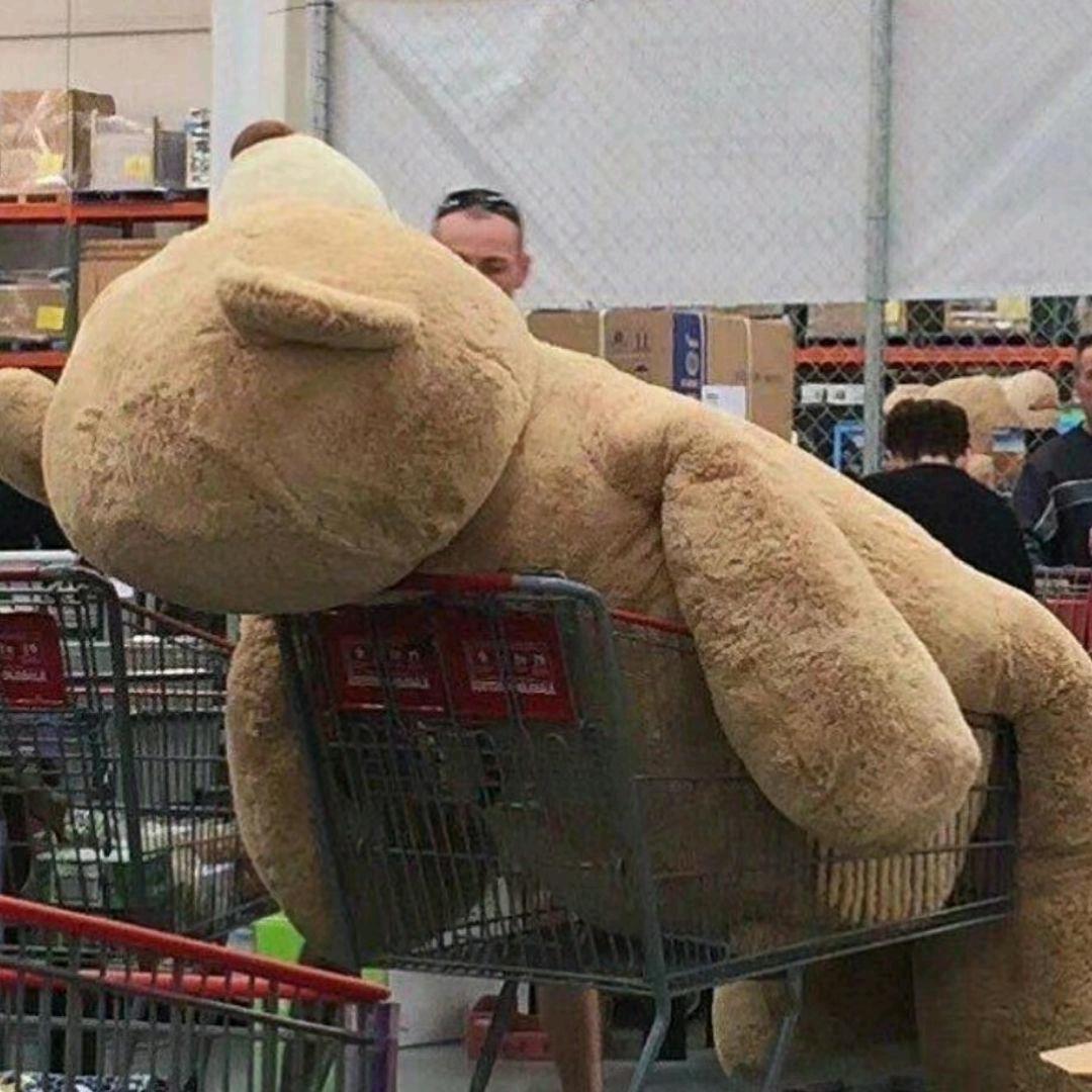 这是我想了三天的名字