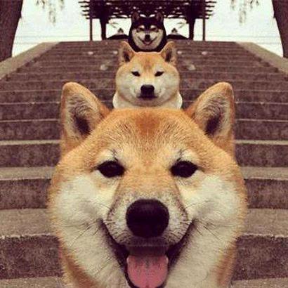 ☀️梁小健☀️