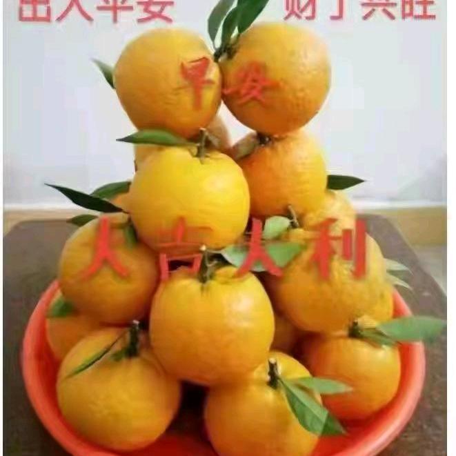 zheng