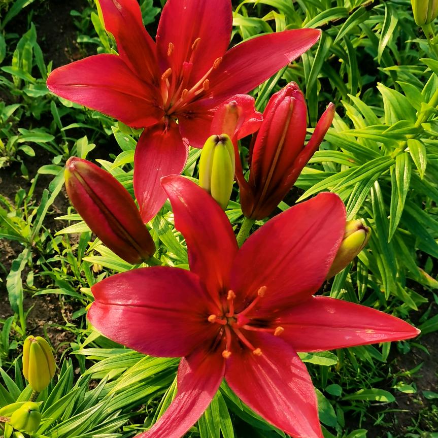 健康👩‍❤️‍👩是福