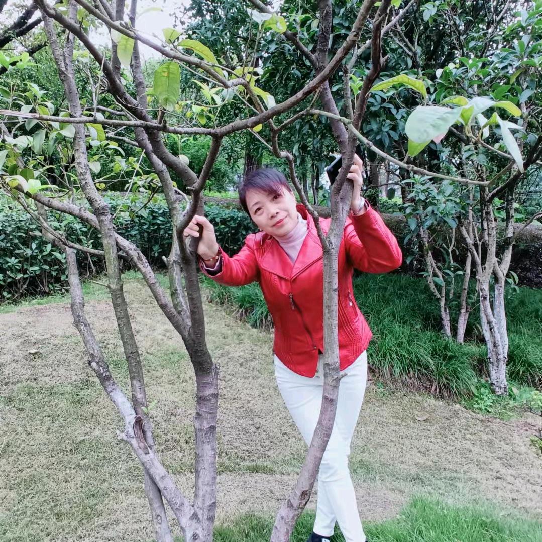 红尘情缘