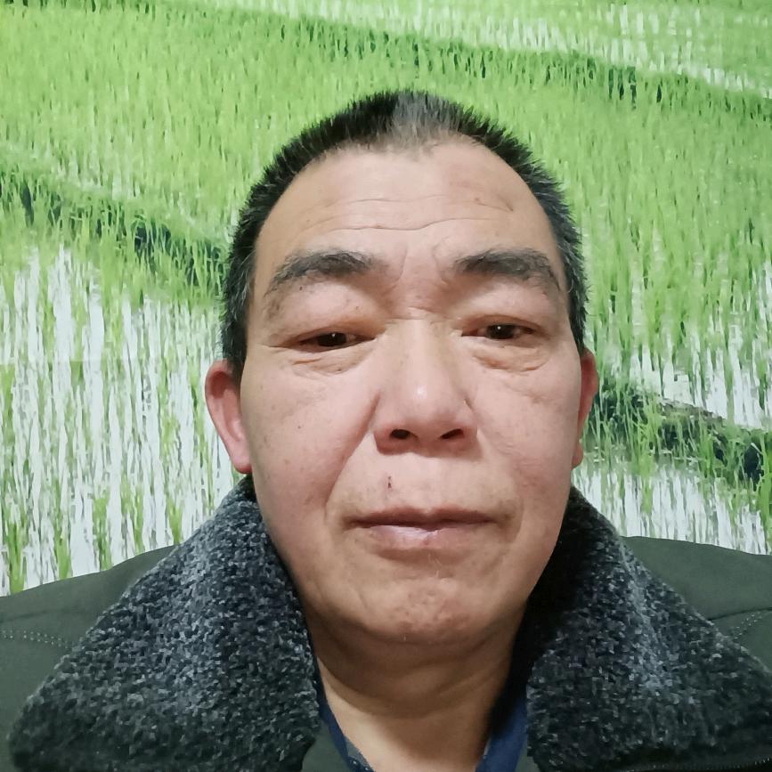 老杨飞虎队