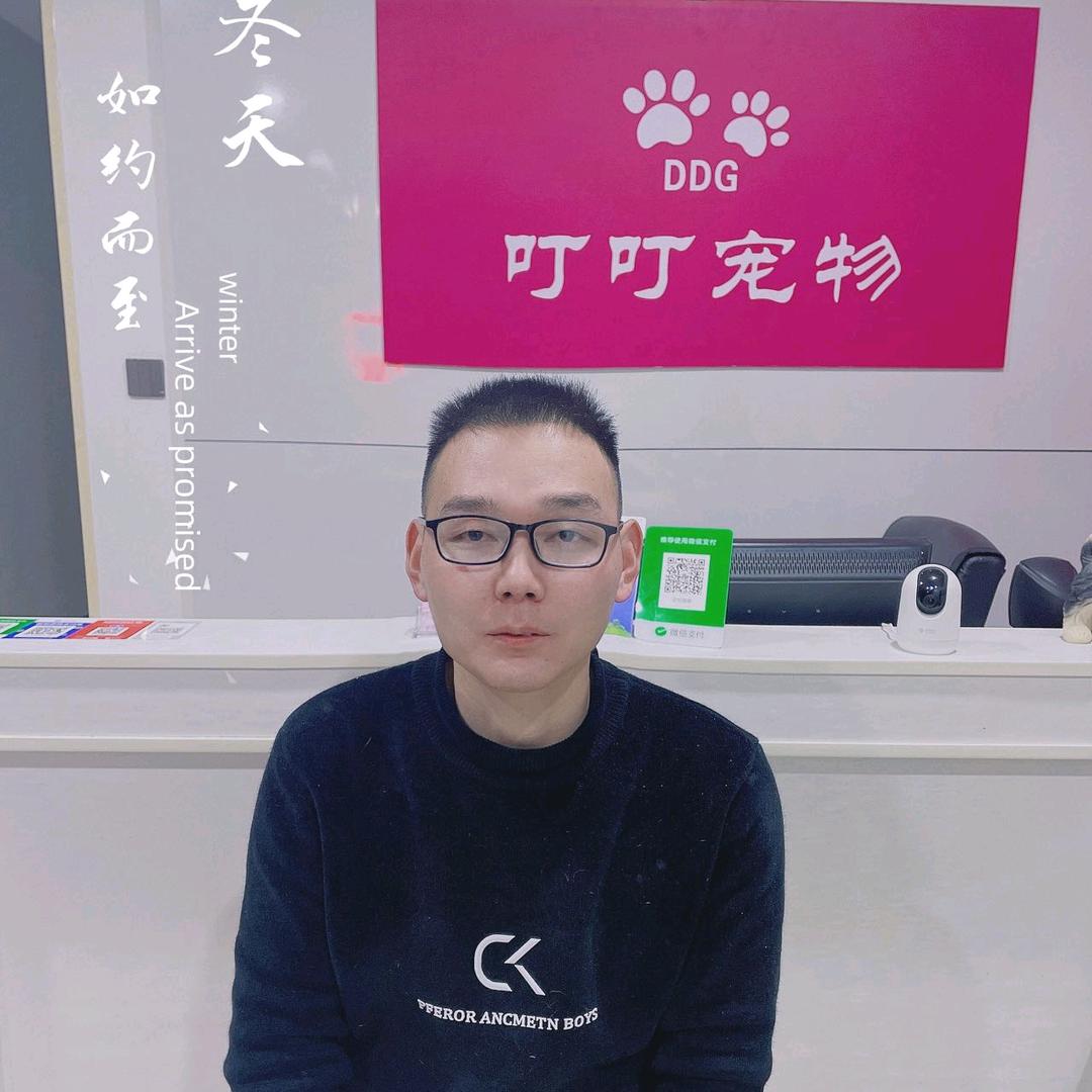 叮叮宠物