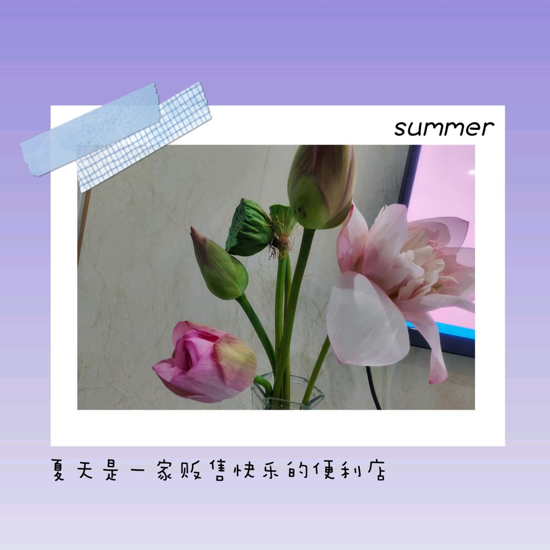 Sun’薇（小号）