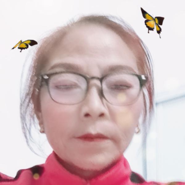 山丹丹