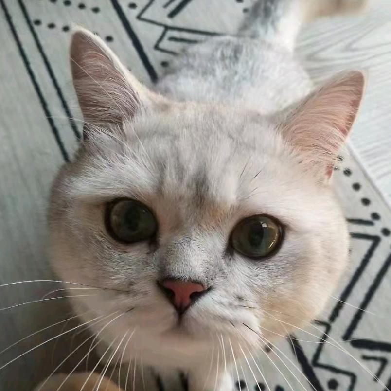 珍姐和她的家人们