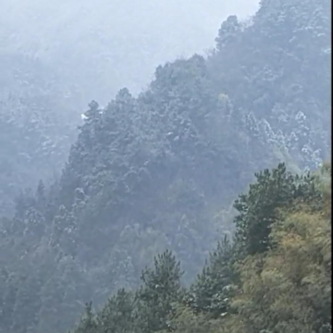 海纳百英55