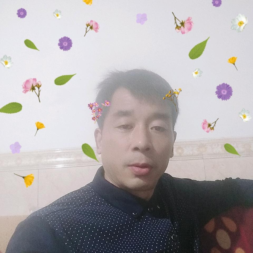 低调哥《单》