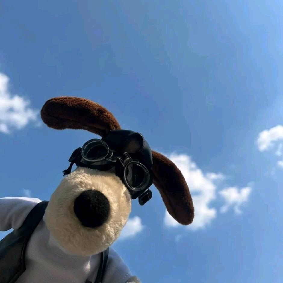 那年夏天.