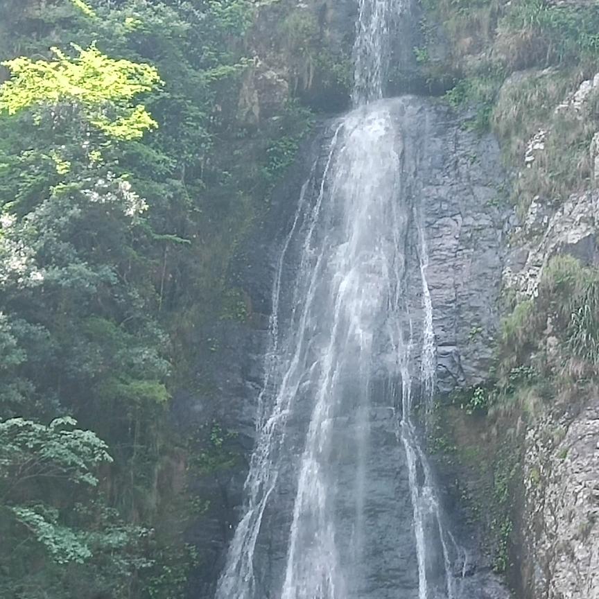 弱水三千