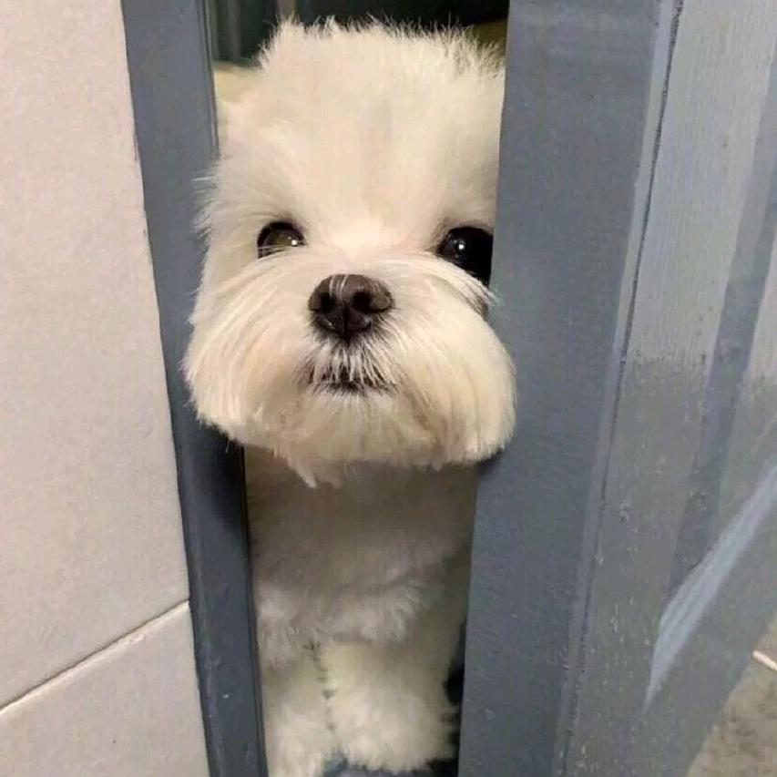 探鱼筽