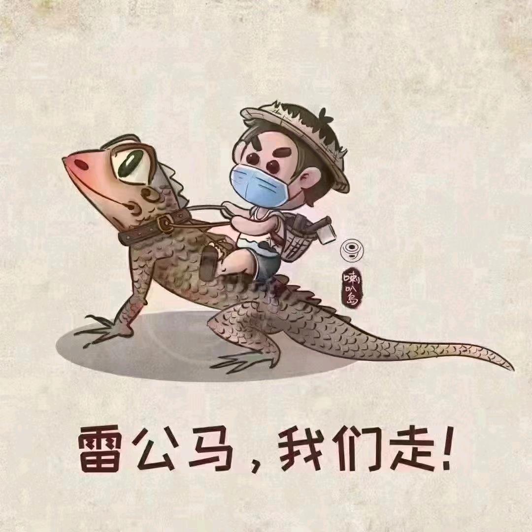 记录篇