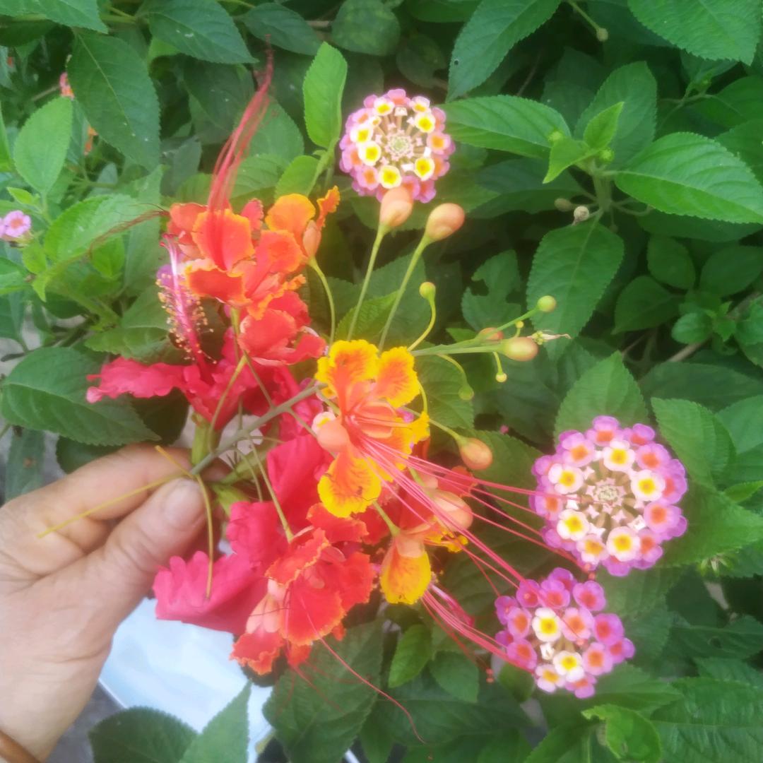 盘家女，😄😄