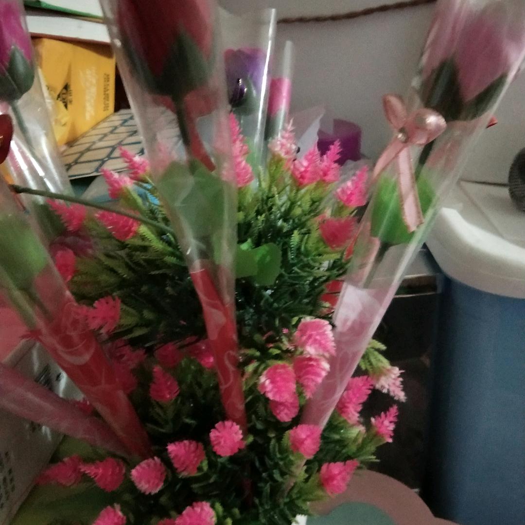 生活治愈快乐