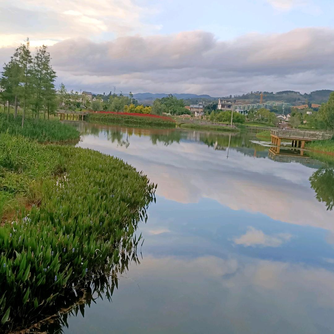 心想事成🌸🌸