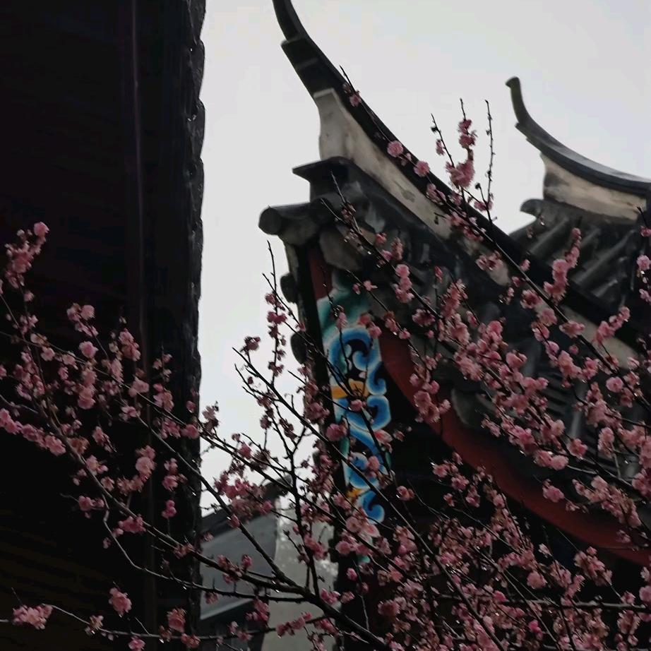 长安府君