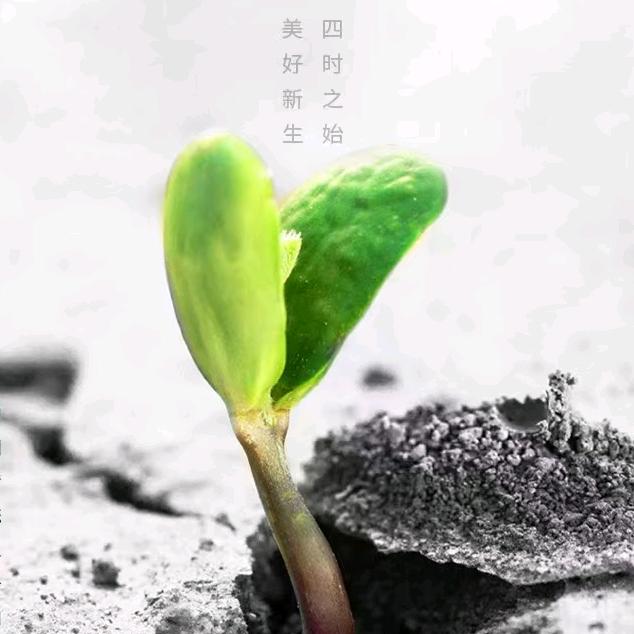 水月