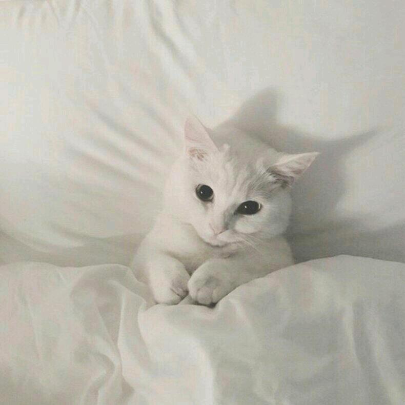 ⛄️