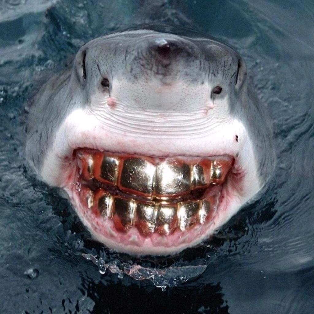 fhy